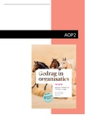 Arbeids en organisatiepsychologie&comma; TP jaar 2 