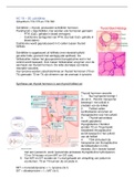 Endocrinologie samenvatting deeltentamen 2