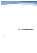 Beroepsproduct C45 sociale psychologie Saxion (SPS)