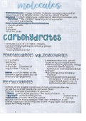 Biology Notes (Biochemistry)