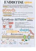 Biology Notes (Endocrine System)