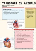 Circulatory System 