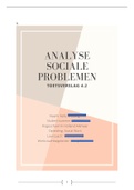 Analyse sociale problemen afgerond met een 7