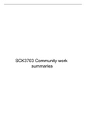 SCK3703-Community-work-summaries.