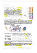 Celbiologie samenvatting