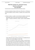 INE  Práctica análisis del PIB Total y turístico a precios constantes, corrientes, calculando la evolución de participación y la tasa de crecimiento anual.