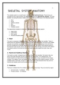Biology - Systems anatomy 
