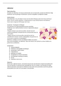 Anatomie Rodelopers