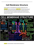 Cell Membrane Structure notes for healthcare and medical student