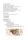 Samenvatting  Anatomie Blok A Thema 1.2