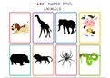 Fun FREE Flashcards: | Label these ANIMALS |Print the NEW POSTER of More Zoo Vocab! | Activity sheet for kids to do!