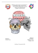 Anatomia humana (cabeza y cuello)