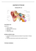 ANATOMY OF THE EAR