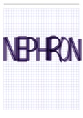 Structure of nephron and its function explained simply 