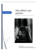 Verslag PCO het effect van pesten 