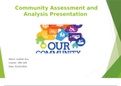 NRS 428 VN Community Assessment and Analysis Presentation &lpar;Lizetter 