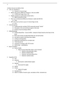 NURSING 400 - CI Quiz 4&lowbar;Study Guide&period;