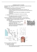 Samenvatting biologie taak 3: De longen GZW1022