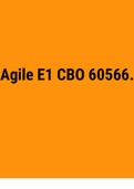 Exam (elaborations) Agile E1 CBO 60566. 