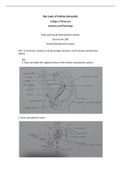Reproductive system (Anatomy and Physiology)