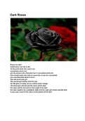My Old Poetry Notes