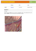 Portage Learning &sol; BIOD 151 Mod Exam 7 Latest