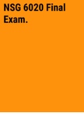 Exam (elaborations) NSG 6020 Final Exam 