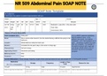 Exam &lpar;elaborations&rpar; NR 509 Abdominal Pain SOAP NOTE 