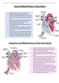 Pediatric Cardiac Anomalies 