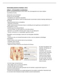 Duidelijke samenvatting anatomie & fysiologie 