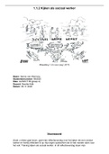 1&period;1&period;2 Kijken als sociaal werker &lpar;8&period;0 BEHAALD&excl;&excl;&rpar; INCLUSIEF BIJLAGEN&excl;&excl; 