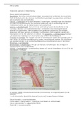 Begrippenlijst anatomie en fysiologie Ademhaling