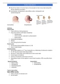 Notes on neural tube defects 
