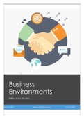 Business Environments and Strategies Notes IEB/DBE Business Studies