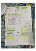 class 11 notes by alex