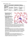 Opdrachten biologie - Les 4  (IVGBIO01S1)