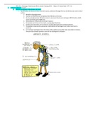 CGN 6501 - Med Surg Exam #3 Study Guide.