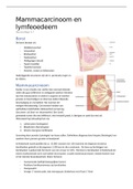 Mammacarcinoom en lymfeoedeem