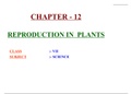 REPRODUCTION IN PLANTS