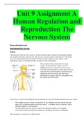  Human Regulation and Reproduction The Nervous System