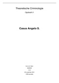 Opdracht 1 - Casus Angelo S (Theoretische Criminologie)