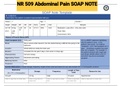 NR 509 Abdominal Pain SOAP NOTE (NR509) 