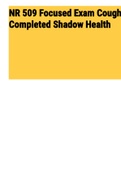 NR 509 Focused Exam Cough Completed Shadow Health &lpar;NR509&rpar; 