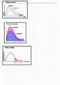 Boltzmann Distribution Graphs Summary