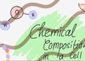 Chemical Composition In A Cell