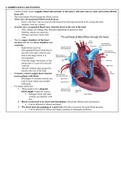 Cardiovascular and Renal Systems