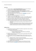MDC3  Exam 2 Key Concept Guide