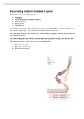 Samenvatting Basisboek Anatomie en Fysiologie niveau 4, ISBN: 9789006691580  Anatomie
