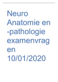 Examenvragen neuroanatomie en -pathologie