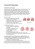 CR (Circulatie&Respiratie) Overzicht Fysiologie Respiratie